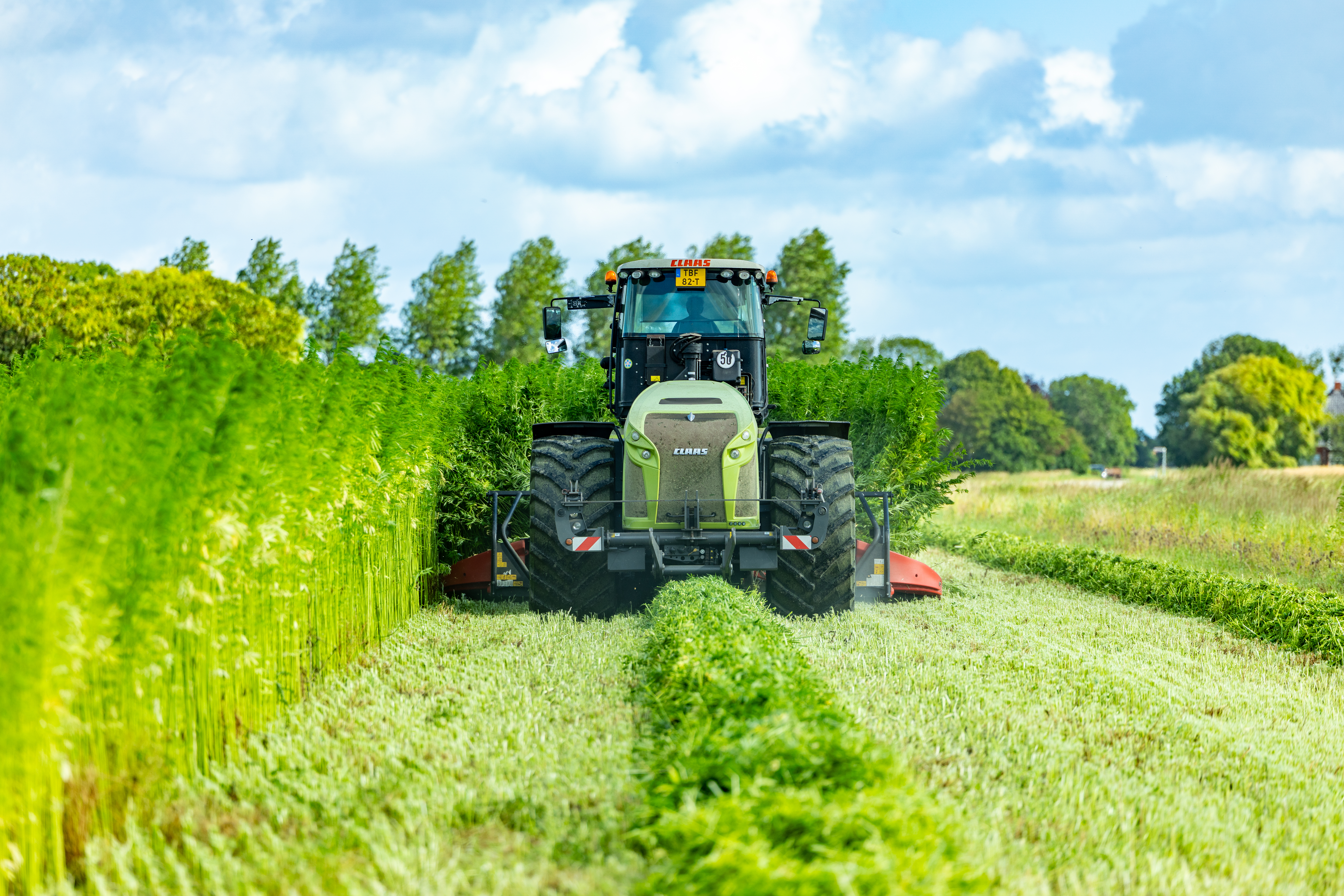 Vezelhennepoogst: van het Friese land naar duurzame woningen
